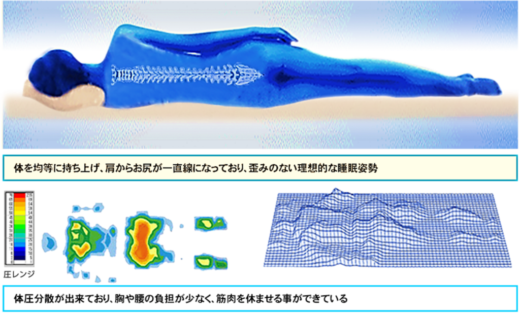 腰痛対策 体圧分散にすぐれ,腰や肩の負担を軽減,歪みのない寝姿勢