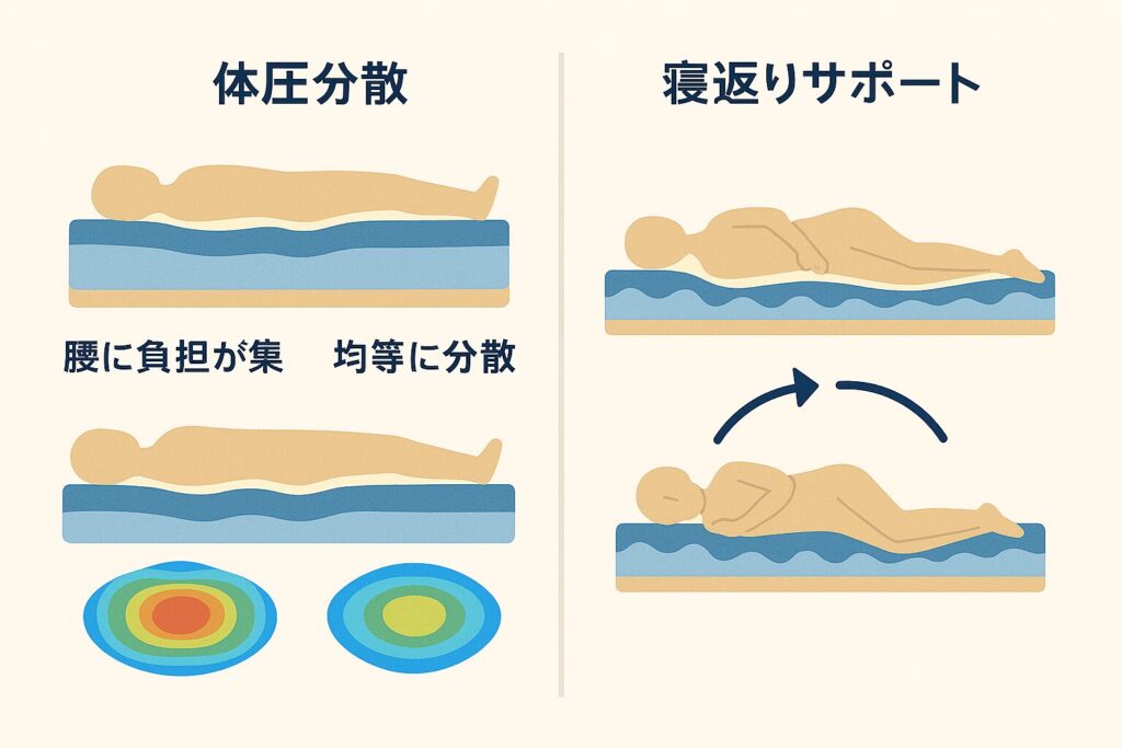 ごくみんマットレスの図解 1,体圧分散の図解 腰に負担が集中 vs 均等に分散のイラスト/体圧の分布を色で表すイメージ 2,寝返りサポートの図解 人がスムーズに寝返りしているイラスト/矢印で体の動きを表す図解